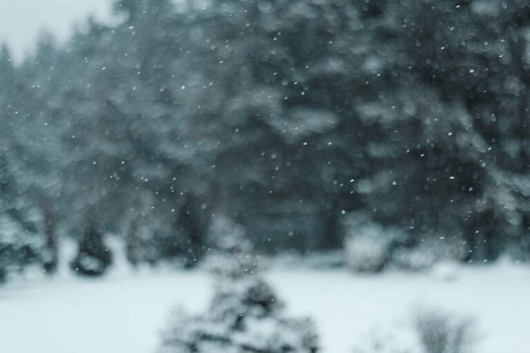 Snow 1 1