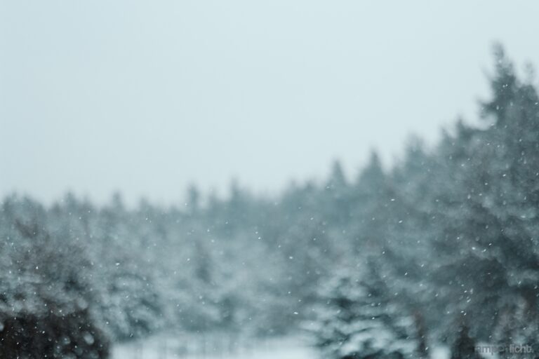 Snowflakes