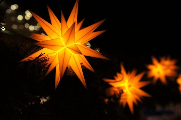 Poinsettia Advent Christmas Star Christmas Decor