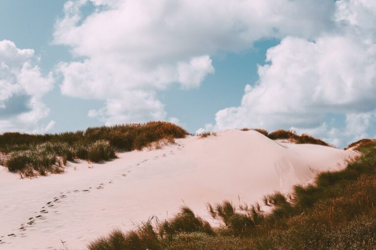 Footprints On Sand 3066854